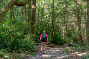 17 Fantastic Hikes in State College and the Surrounding Area