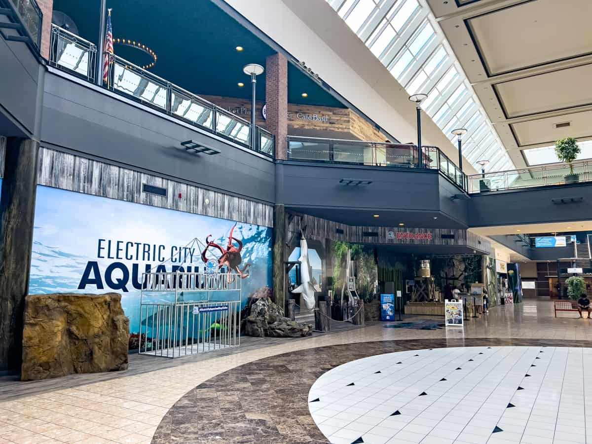 What It's Like Visiting the Electric City Aquarium & Reptile Den in
