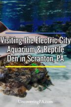 Electric City Aquarium in Scranton Pennsylvania