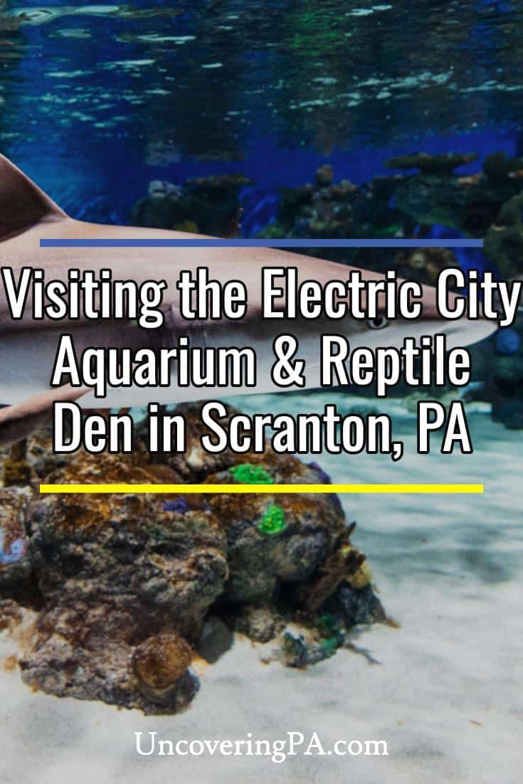 What It's Like Visiting the Electric City Aquarium & Reptile Den in Scranton, PA Uncovering PA