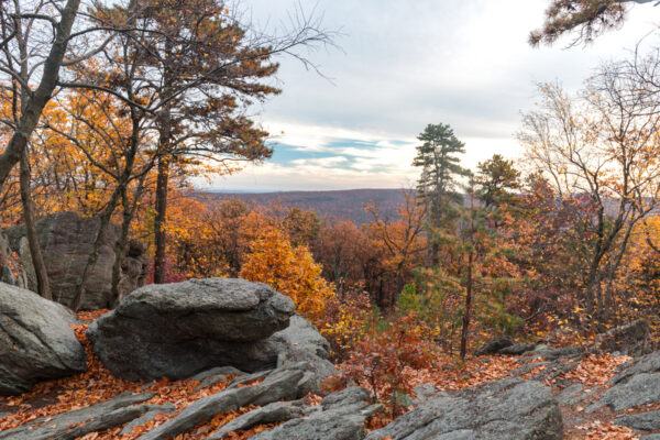 Fall trees surround an overlook at Hammonds Rocks in Michaux State Forest