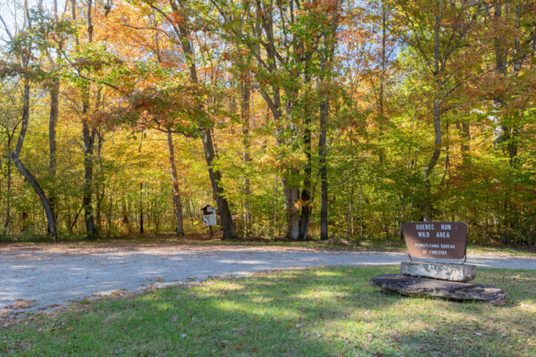 The Mill Run Lot at the Quebec Run Wild Area in the Laurel Highlands of PA