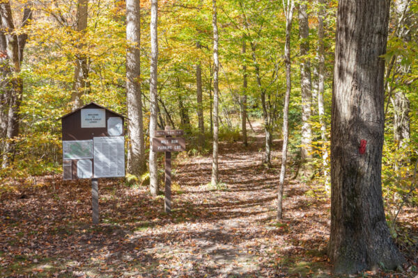 The trailhead for the Mill Run Trail in the Quebec Run Wild Area of southwestern Pennsylvania seen while surrounded by autumn trees