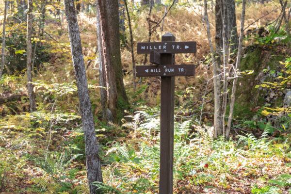 Trail marker in the Quebec Run Wild Area in the Laurel Highlands of Pennsylvania