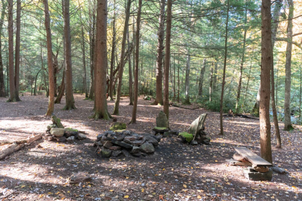 Campfire ring with stone chairs in the Quebec Run Wild Area in Fayette County, PA