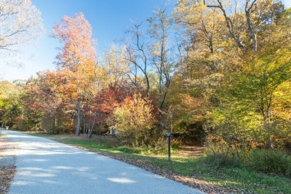 A road and forest next to the trailhead for the Grist Mill Trail in the Quebec Run Wild Area in Fayette County Pa