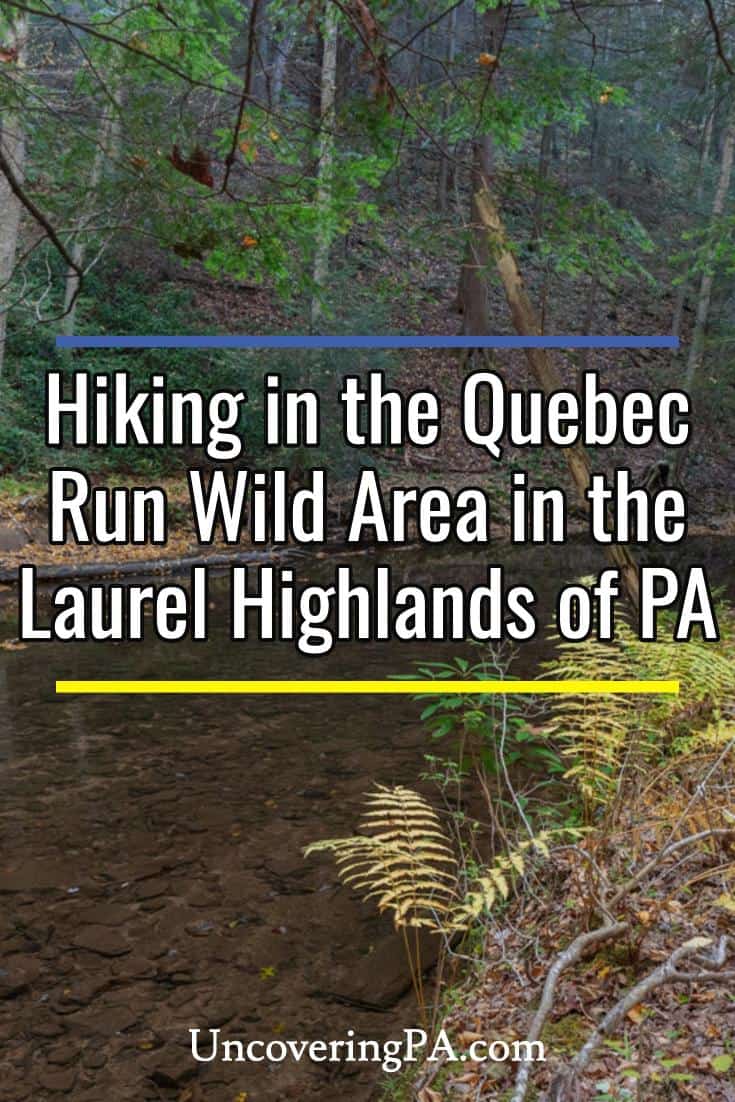 Hiking Through the Beautiful Quebec Run Wild Area in Fayette County, PA - Uncovering PA