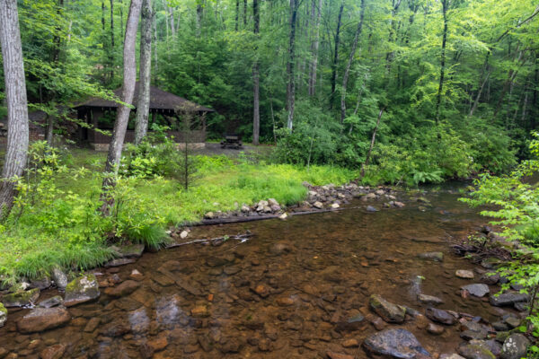 Rapid Run in Sand Bridge State Park in Union County PA