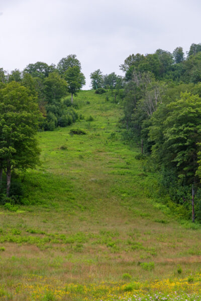 Abandoned ski slope at Denton Hill State Park in Potter County PA