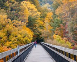11 Great Places to See Fall Colors Near Pittsburgh, PA