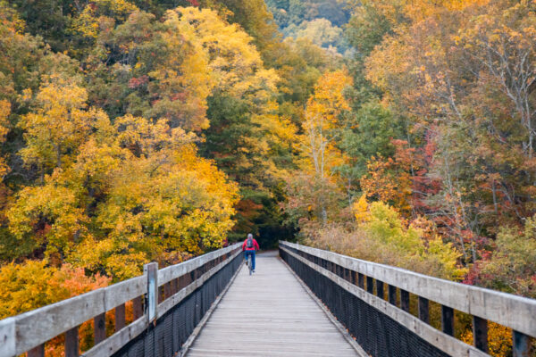 Man riding his bike on the Great Allegheny Passage while looking at fall colors near Pittsburgh