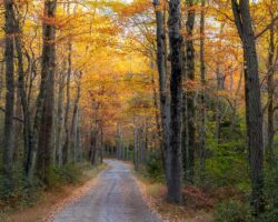 10 Colorful Spots to Visit in the Poconos for Fall Foliage