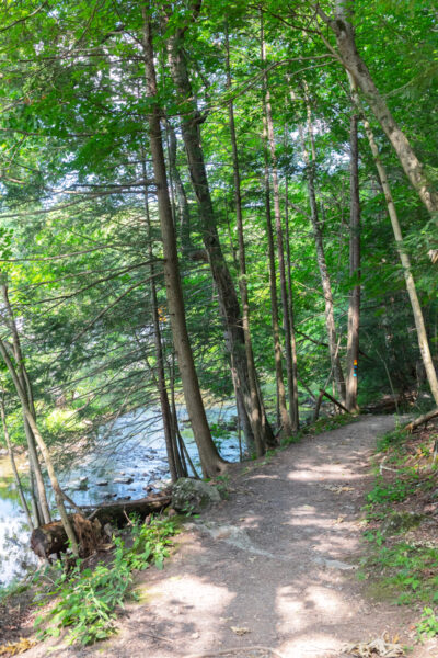 Naugle Mill Trail along the creek at Bedford Springs Resort in PA