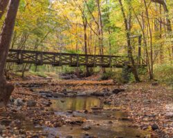 Hiking the Gorge in Cedar Creek Park to its Swinging Bridges and Waterfalls