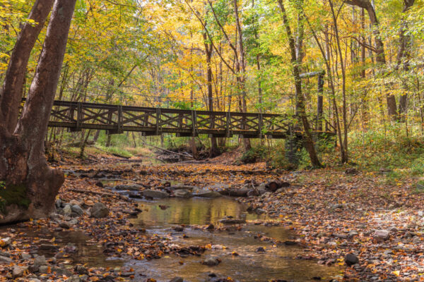 A swinging bridge in Cedar Creek Park in Westmoreland County PA surrounded by fall foliage