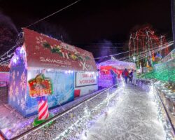 Christmas on the Mountain: Festive and Free Fun in Reading, PA