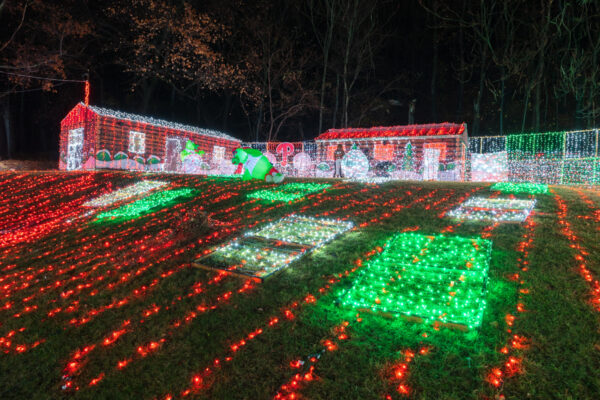 A light covered hillside at Reading, PA's Christmas on the Mountain