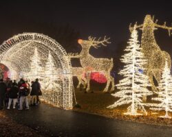 Exploring the Lights at Tinseltown Holiday Spectacular in Philadelphia’s FDR Park