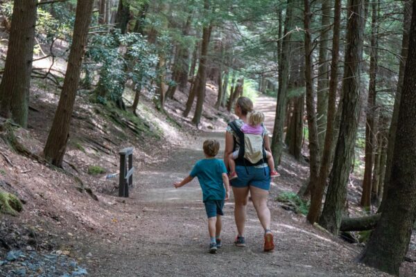 A woman and two children hiking on a path in Cook Forest State Park, one of the best state parks in Pennsylvania
