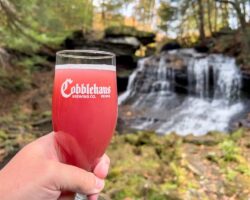 Beer and Waterfalls at Cobblehaus at the Falls in Mercer County, PA