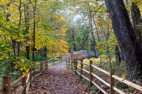 Wooded trail leading to a bridge in the Montour Woods Conservation Area in Coraopolis, PA