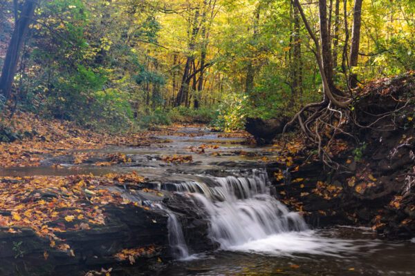 A small waterfall in the Montour Woods Conservation Area in Allegheny County PA