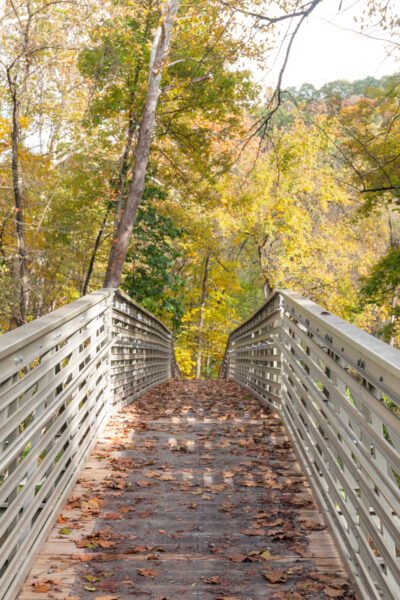 Crossing a bridge in Montour Woods in western Pennsylvania