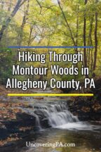 Montour Woods Conservation Area in Allegheny County, PA