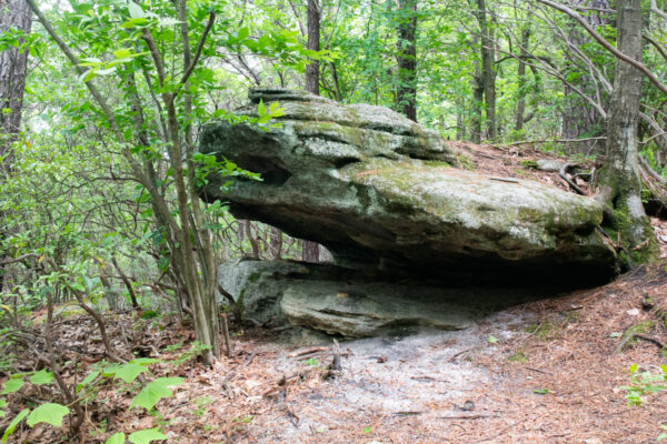 Large boulder in the forest at Jakes Rocks near Warren, Pennsylvania