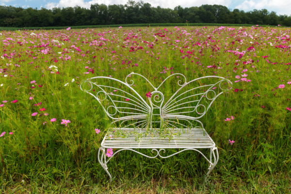 Butterfly bench in front of a field of flowers at Maple Bottom Farm near Scottdale PA