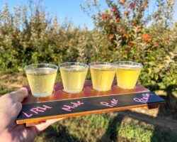 9 of the Best Hard Cideries in Pennsylvania