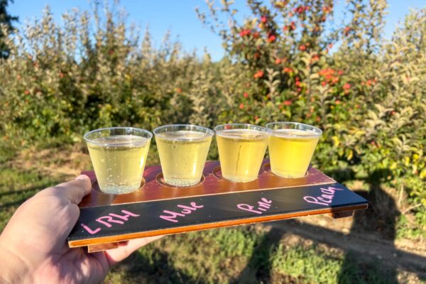 A flight at Big Hill Ciderworks, one of the best cideries in Pennsylvania