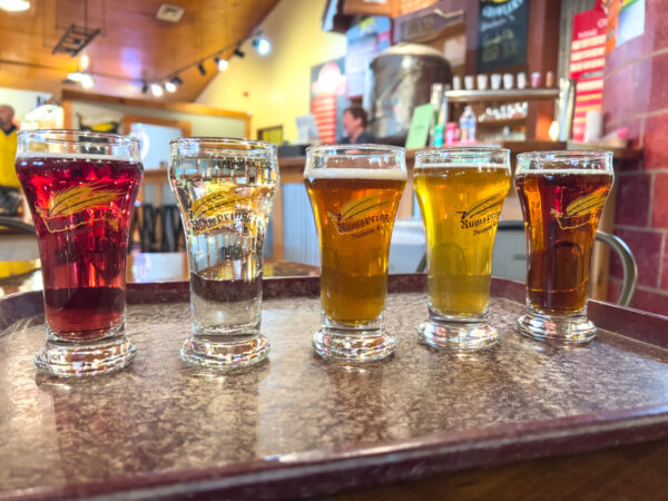 Flight of beer and hard cider at Lancaster County Cider in Intercourse, PA.