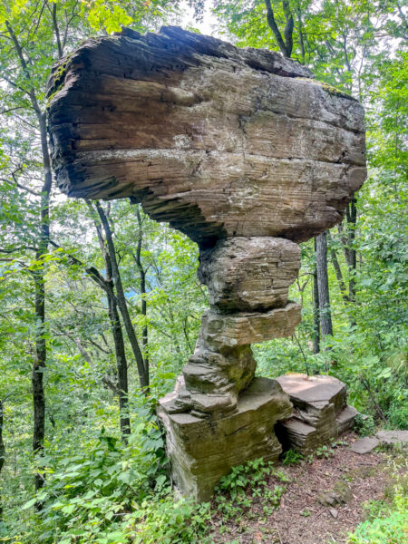 The view of Ticklish Rock from the base of the cliffs in Sullivan County PA