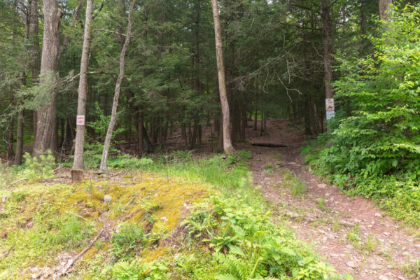 The trailhead for the hike to Ticklish Rock in Sullivan County Pennsylvania