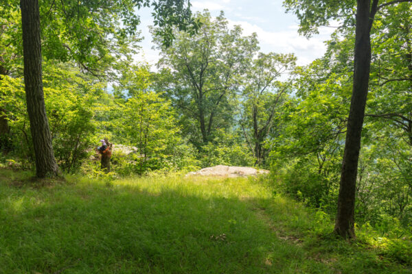 Field and rock outcropping near Ticklish Rock in Sullivan County PA