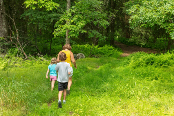 Family hiking through a field toward Ticklish Rock in Sullivan County, PA