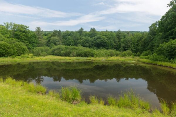 The small lake in Penn-Roosevelt State Park near Boalsburg PA