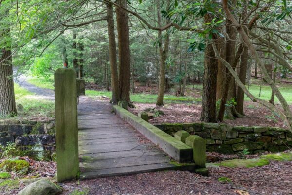 Bridge that is part of the Mid State Trail in Penn-Roosevelt State Park in Centre County PA