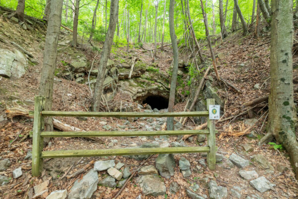 Wooden fence in front of the abandoned train tunnel in Tuscarora State Forest in PA