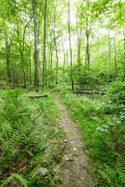 Tunnel Trail in Big Spring State Park in Perry County PA