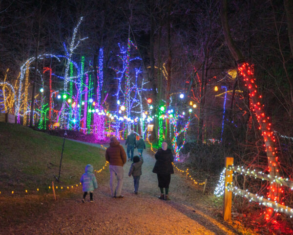 People walking through the colorful lights at Refreshing Mountain in Lancaster County Pennsylvania