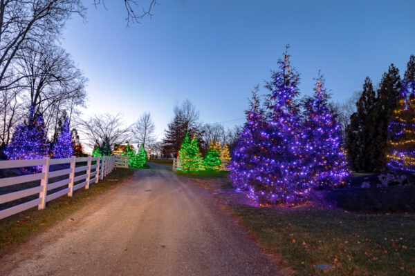 Dirt road lined with light filled trees at Stone Gables Estate in Elizabethtown, PA