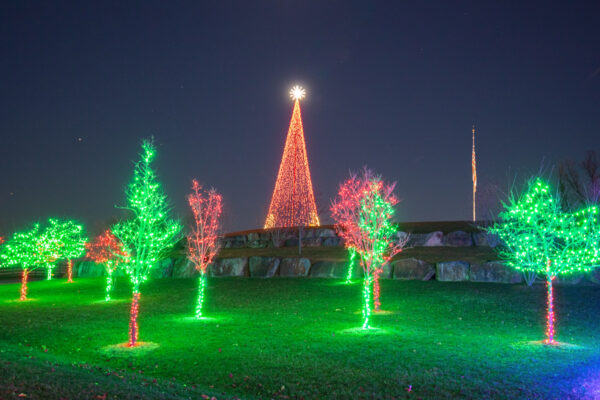 Festive trees wrapped in Christmas lights at Stone Gables Estate in Elizabethown, PA