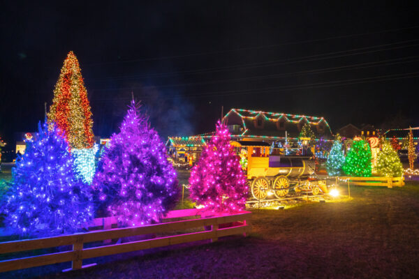 A variety of displays at the Village of Lights near Elizabethtown, PA