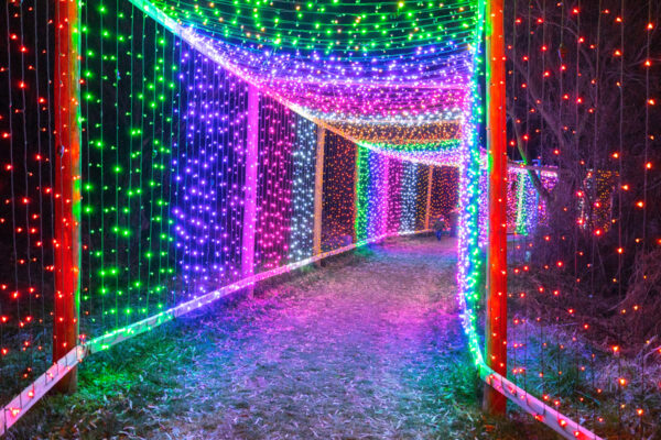 Colorful walk-through light tunnel at the Village of Lights at Historic Acres of Hershey PA