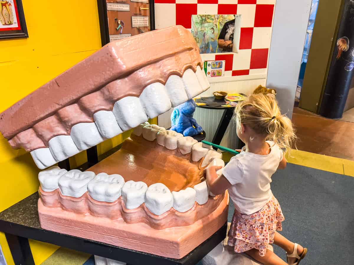 Child brushing giant teeth at the Bloomsburg Children's Museum in Pennsylvania