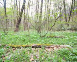 Hiking the Trillium Trail near Pittsburgh, PA