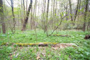 Hiking the Trillium Trail near Pittsburgh, PA
