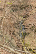 Hiking the Trillium Trail near Pittsburgh, PA - Uncovering PA